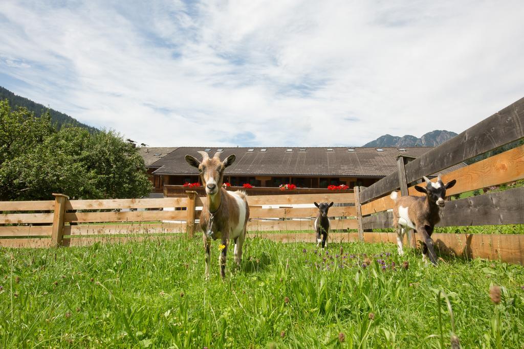Aparthotel Hummerau Alpbach Exteriér fotografie